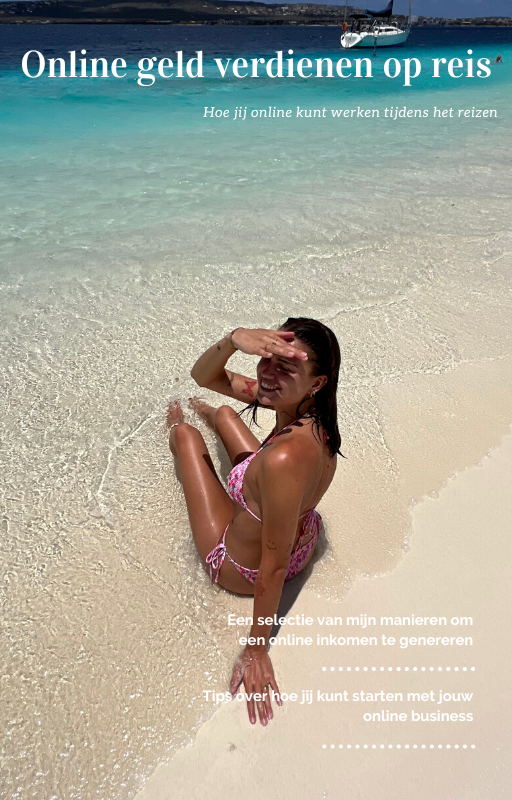 ONLINE GELD VERDIENEN OP REIS